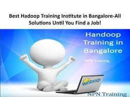 NPN Training NPN training photo 4